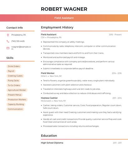 Resume example 3