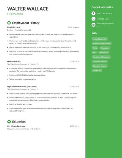 Resume example 4