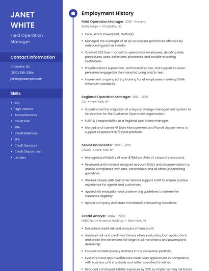 Resume example 4