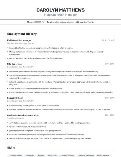 Resume example 2