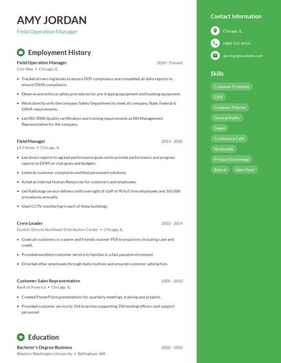 Resume example 5