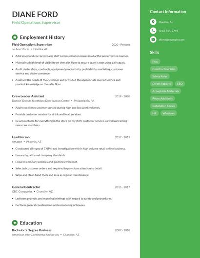 Resume example 4