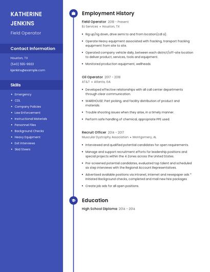 Resume example 4