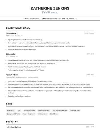 Resume example 2