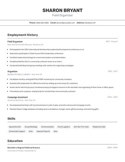 Resume example 2