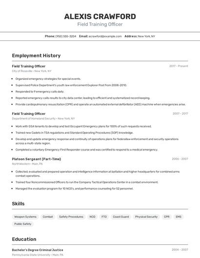 Resume example 2