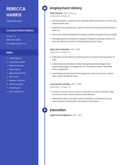 Resume example 5