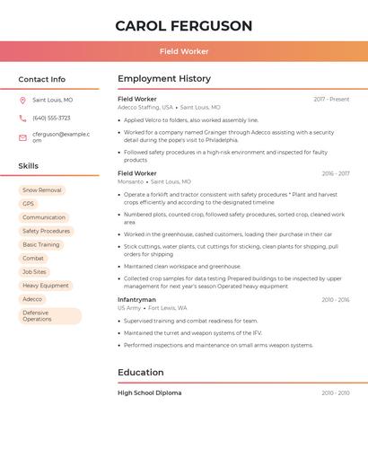 Resume example 3