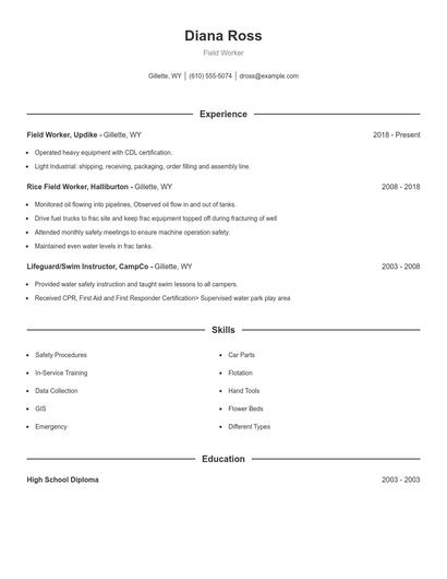 Resume example 1