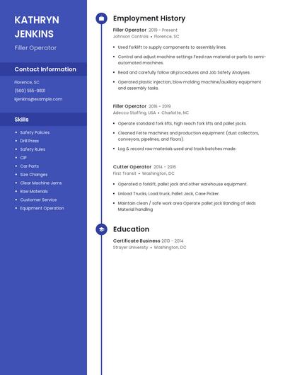 Resume example 5