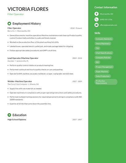 Resume example 4