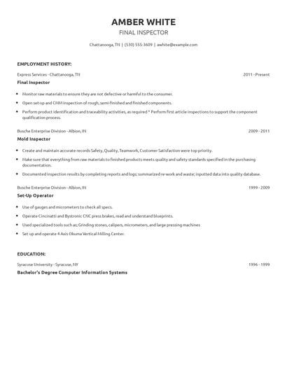 Final Inspector Resume