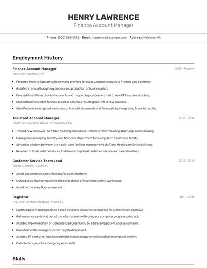 Finance Account Manager Resume