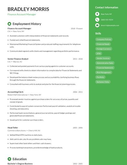 Finance Account Manager Resume