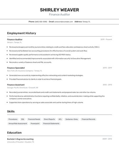 Finance Auditor Resume