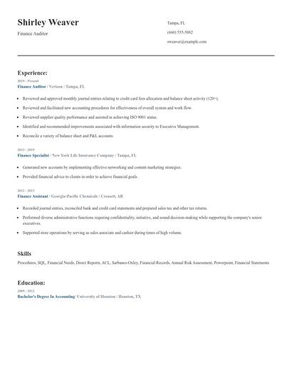 Finance Auditor Resume
