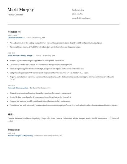 Finance Consultant Resume
