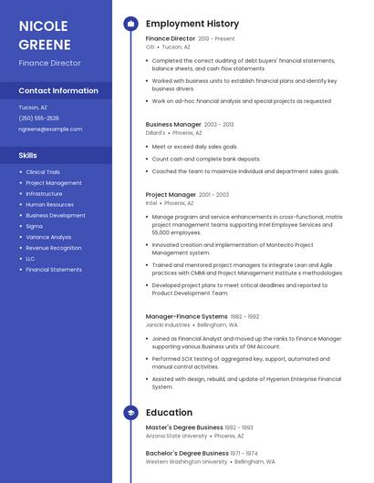 Finance Director Resume