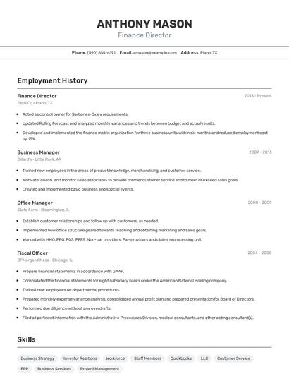 Finance Director Resume
