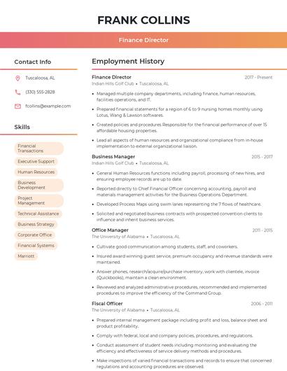 Finance Director Resume