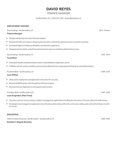 Finance Manager Resume