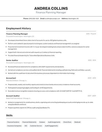 Resume example 2