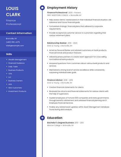 Finance Professional Resume
