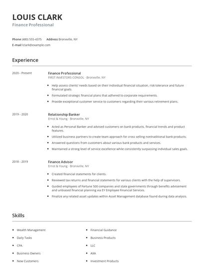 Finance Professional Resume