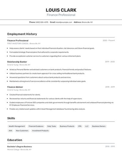Finance Professional Resume