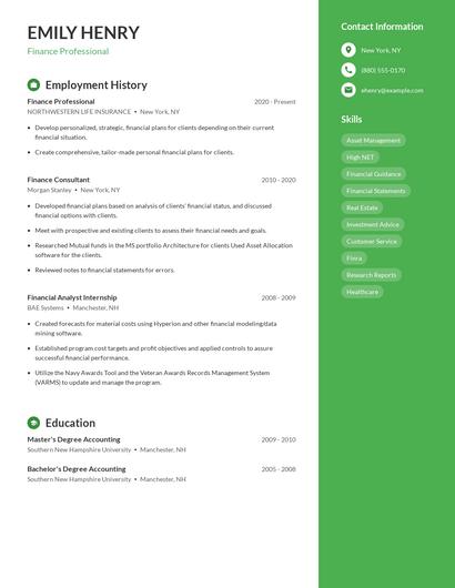 Finance Professional Resume