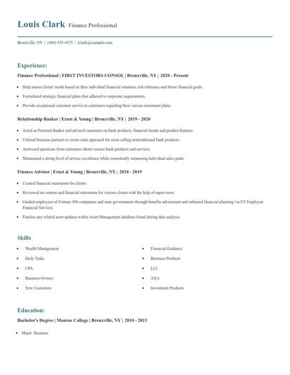 Finance Professional Resume