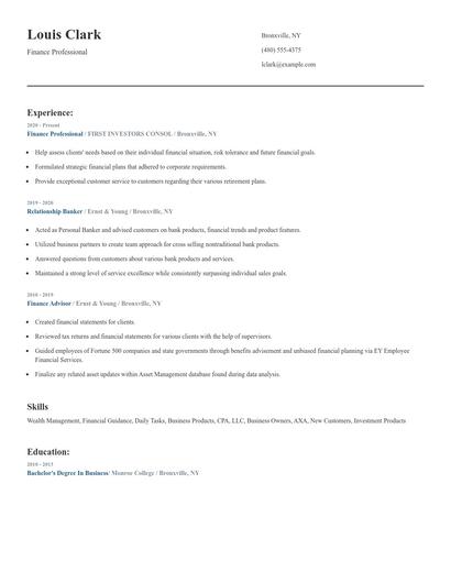 Finance Professional Resume