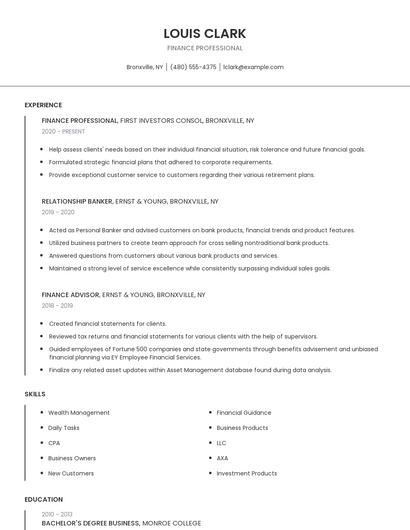 Finance Professional Resume