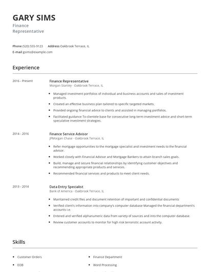 Finance Representative Resume