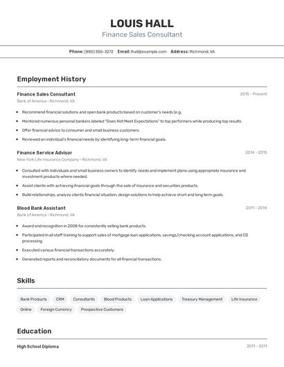 Finance Sales Consultant Resume