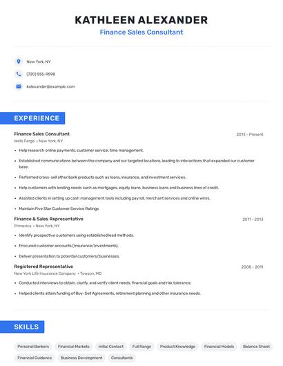 Finance Sales Consultant Resume