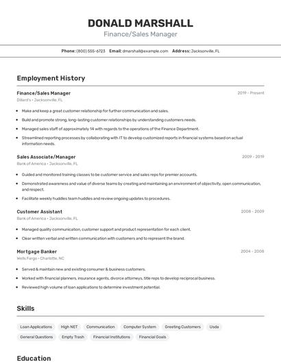 Finance/Sales Manager Resume
