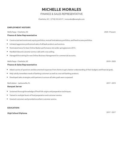Finance & Sales Representative Resume
