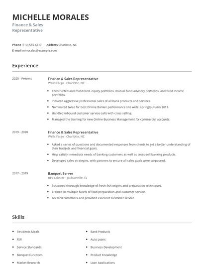 Finance & Sales Representative Resume