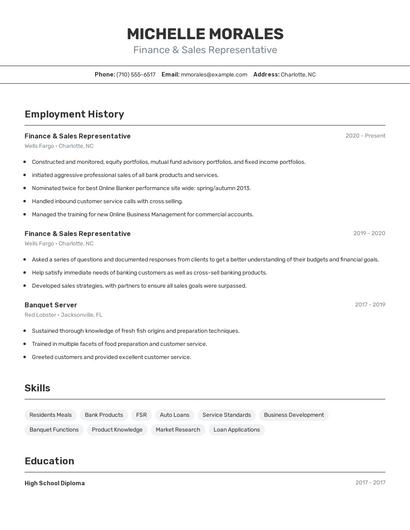 Finance & Sales Representative Resume