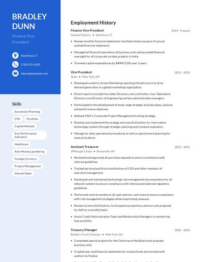 Finance Vice President Resume