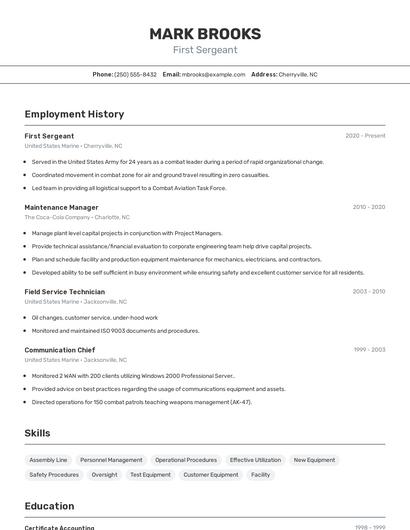 Resume example 2