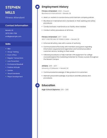 Resume example 4