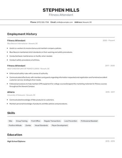 Resume example 2