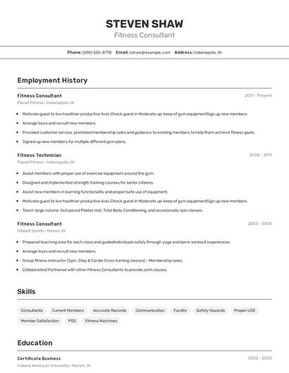 Resume example 2