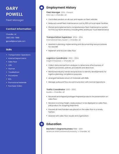 Resume example 4