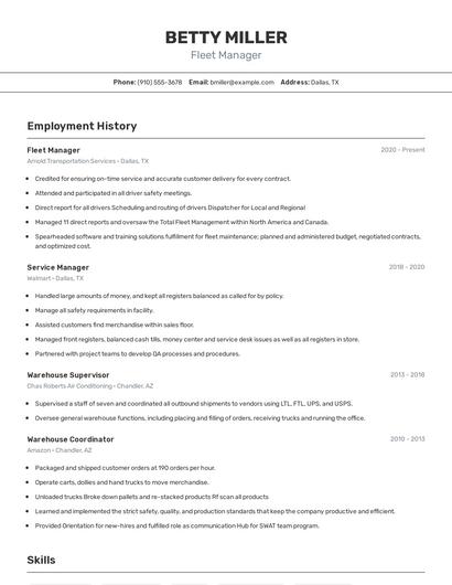 Resume example 2