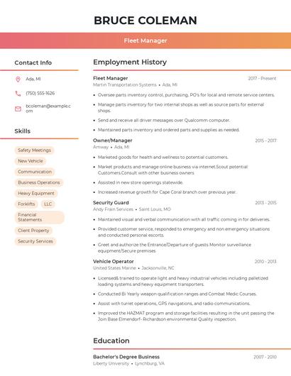 Resume example 3