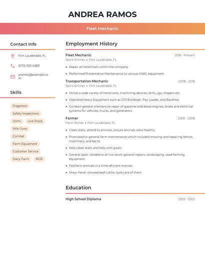 Resume example 3
