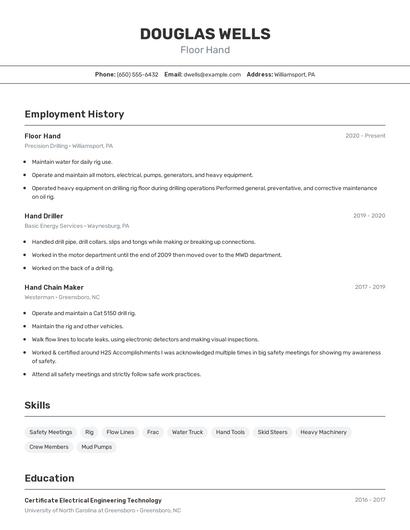 Resume example 2